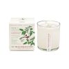 Home Lockwood Candles & Incense | Wild Tomato Vine Soy Candle