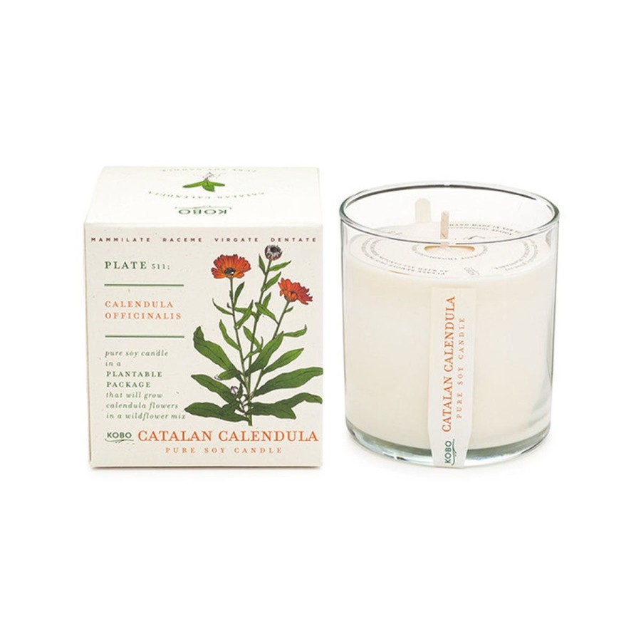 Home Lockwood Candles & Incense | Catalan Calendula Soy Candle