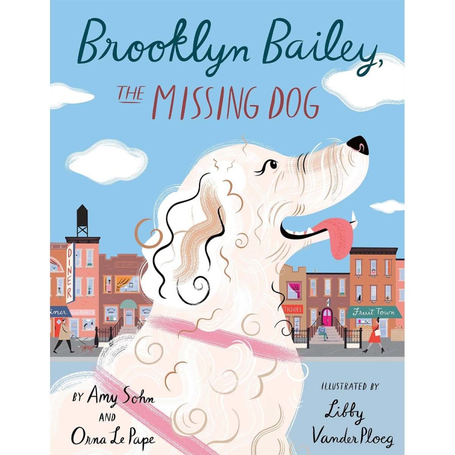 Kids Lockwood Books | Brooklyn Bailey, The Missing Dog