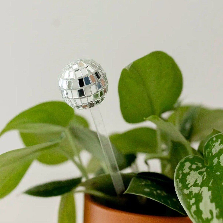 Home Lockwood Trays & Accents | Disco Ball Plant Stick