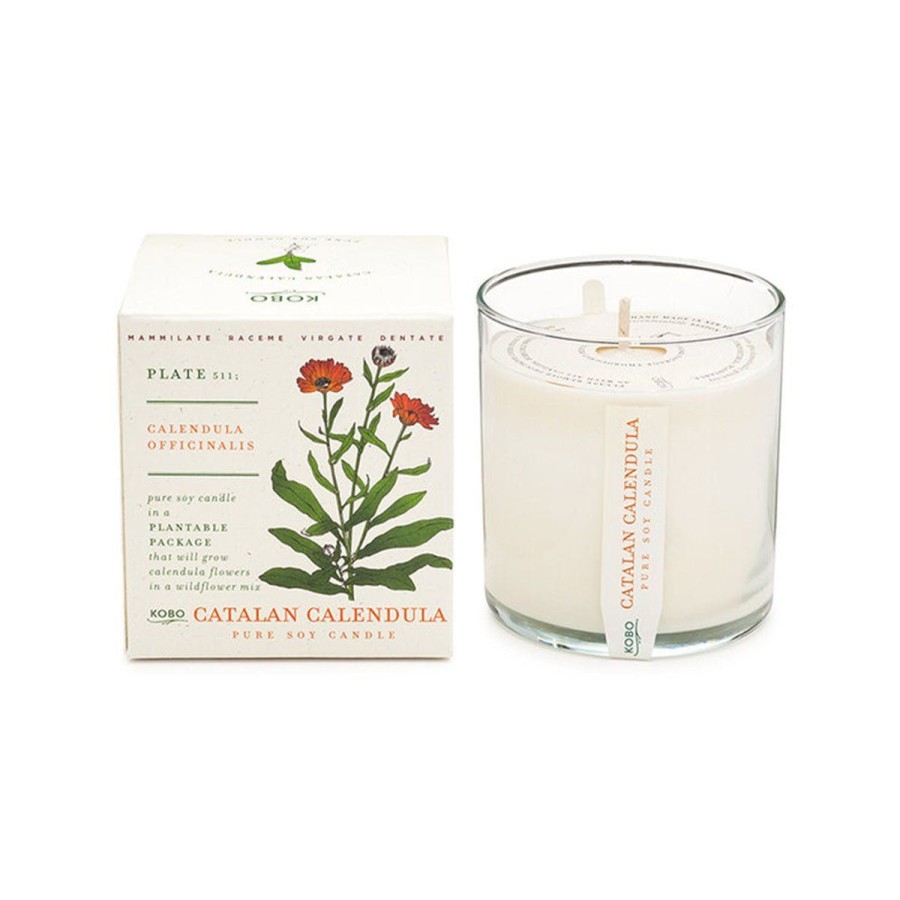 Home Lockwood Gardening | Catalan Calendula Soy Candle