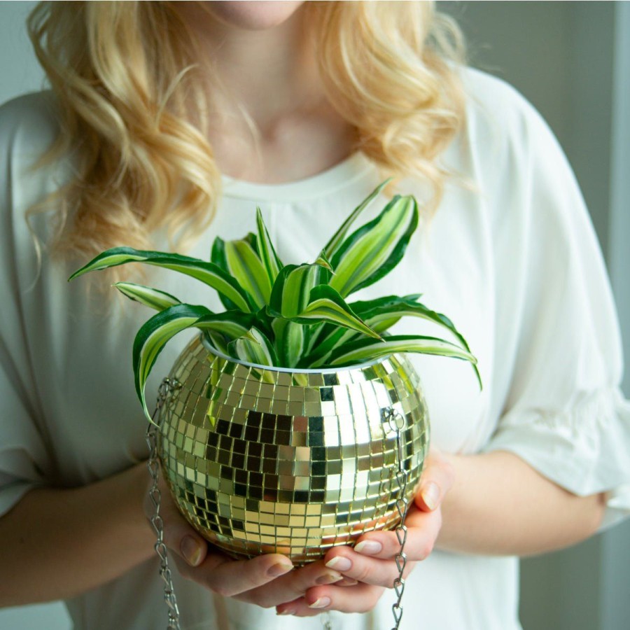 Home Lockwood Planters & Vases | 6" Disco Ball Planter-Gold