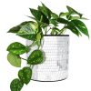 Home Lockwood Planters & Vases | Tabletop Disco Planter-5"