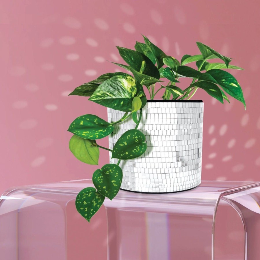 Home Lockwood Planters & Vases | Tabletop Disco Planter-5"