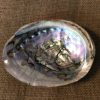 Beauty & Wellness Lockwood Sleep & Relaxation | Full Moon Farms Abalone Shell